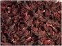 Flor de Jamaica